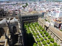 Blick von Giralda auf Orangenhof und Sevilla