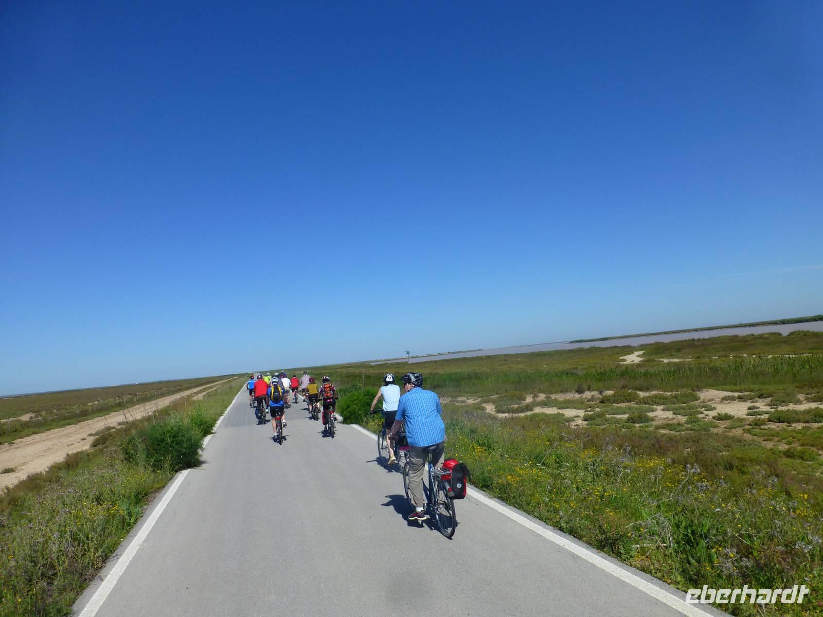 Radtour durch Coto Donana