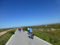 Radtour durch Coto Donana