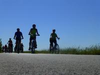 Radtour durch Coto Donana