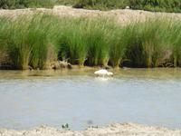 Radtour durch Coto Donana