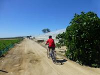 Radtour durch die Gemüsefelder Spaniens