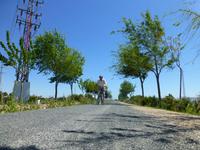 entlang der via verde de la camino