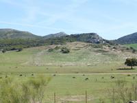 Bergtour Ronda - El Burgo