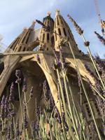 151 La Sagrada Familia