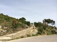 457 Ruinen von St. Helena