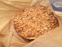 586 Coca de Almandes aus Cadaques