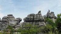 El Torcal de Antequera - Single-Wanderreise Andalusien