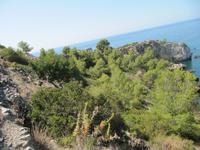 Küstenwanderung - Single-Wanderreise Andalusien