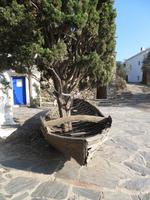Baum im Boot - Port Lligat