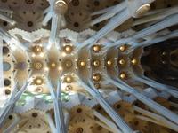 Sagrada Familia - Deckengewölbe