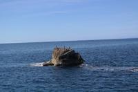 jetzt sieht man sie besser