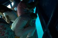 Blick zum Meeresgrund aus dem gläsernen Rumpf des Schiffes