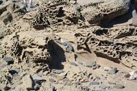 Erdgeschichte zum Anfassen