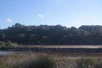 Im Naturschutzgebiet s'Albufera des Grau