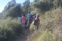 hoch geht's auf das Aussichtsplateau