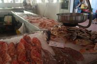 auf dem Fischmarkt in Ciutadella (immer samstags)