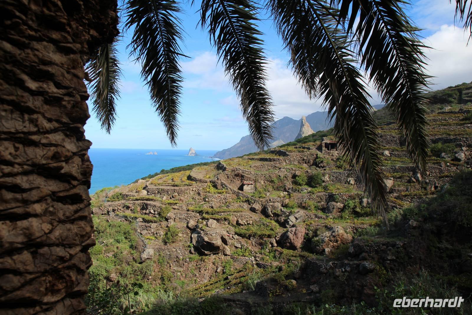Wanderung von Afur nach Taganana – Teneriffa