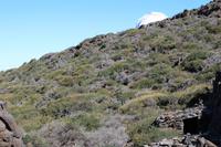 Wanderung vom Roque de los Muchachos zum Pico de la Cruz – La Palma