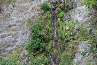 Wanderung in der Caldera de Taburiente – La Palma