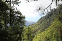 Wanderung in der Caldera de Taburiente – La Palma