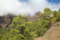 Wanderung in der Caldera de Taburiente – La Palma