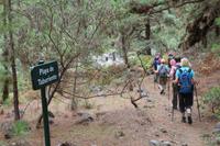 Wanderung in der Caldera de Taburiente – La Palma