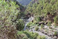 Wanderung in der Caldera de Taburiente – La Palma