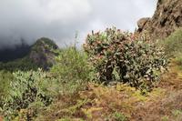Wanderung in der Caldera de Taburiente – La Palma