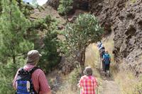 Wanderung in der Caldera de Taburiente – La Palma