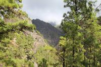 Wanderung in der Caldera de Taburiente – La Palma