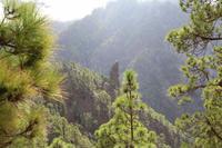 Roque de Idafe – La Palma