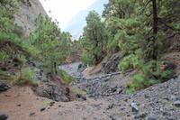 Wanderung in der Caldera de Taburiente – La Palma