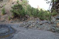 Wanderung in der Caldera de Taburiente – La Palma