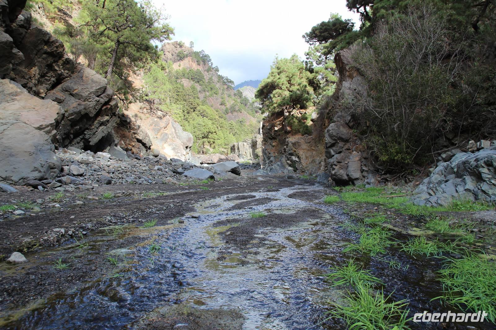 Wanderung in der Caldera de Taburiente – La Palma