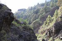 Wanderung in der Caldera de Taburiente – La Palma