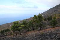 Wanderung vom Vulkan San Antonio zum Leuchtturm von Fuencaliente – La Palma