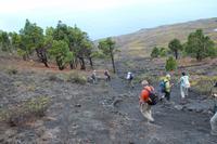 Wanderung vom Vulkan San Antonio zum Leuchtturm von Fuencaliente – La Palma
