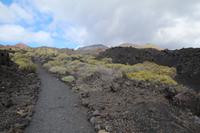 Wanderung vom Vulkan San Antonio zum Leuchtturm von Fuencaliente – La Palma