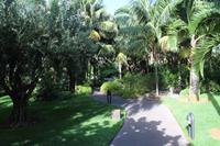 Hacienda San Jorge  – Los Cancajos, La Palma