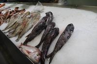 Markthalle in La Laguna – Teneriffa