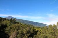 Im Teide-Nationalpark – Teneriffa