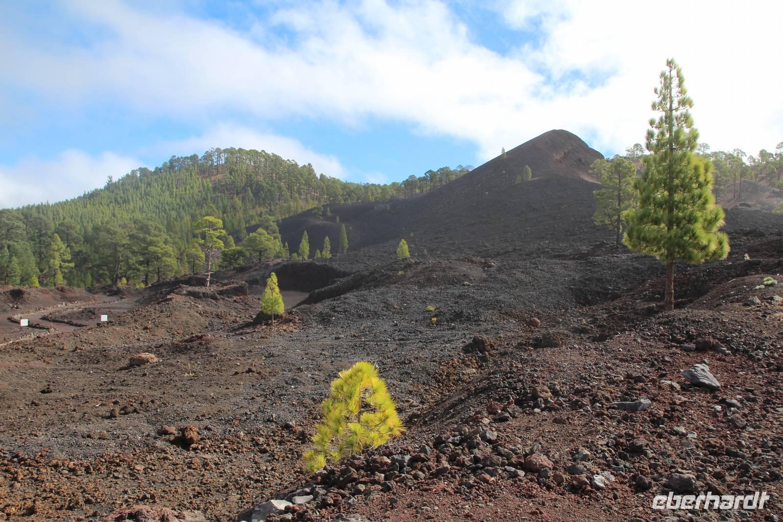 Wanderung am Chinyero – Teneriffa