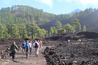 Wanderung am Chinyero – Teneriffa