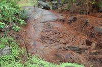 An den Cueva del Viento – Teneriffa