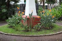 Icod de los Vinos – Teneriffa