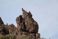 Wanderung an den Roques de García – Teneriffa