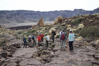 Wanderung an den Roques de García – Teneriffa