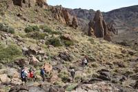 Wanderung an den Roques de García – Teneriffa