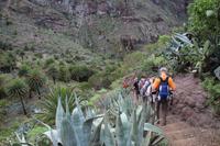Wanderung in der Masca-Schlucht – Teneriffa